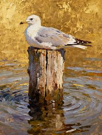 Seagull on a wooden post by Kristin M
