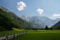 Red car drives down the road through the Logar Valley, Slovenia by Paul van Putten thumbnail