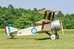 Nachbau des Sopwith-Dreideckers N 500.
