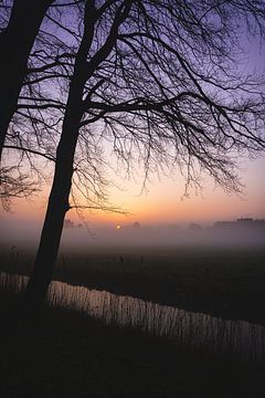 Mistige zonsopkomst over de weilanden in Nederland van Rianne van Baarsen