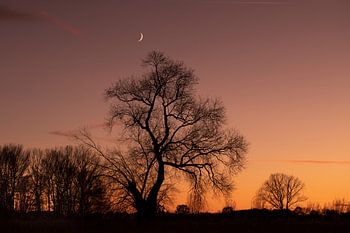 letzte Minuten des Lichts