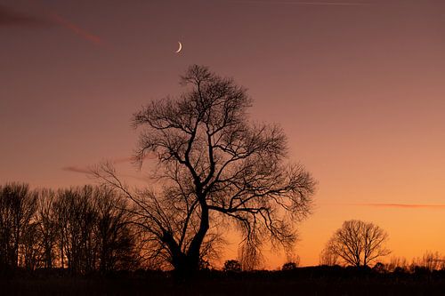 laatste  minuten van het licht