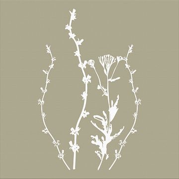 Botanica Delicata. Botanique abstraite rétro en brun Grungy Roots sur Dina Dankers