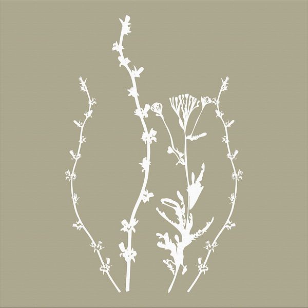 Botanica Delicata. Abstract Retro Botanical in Grungy Roots brown by Dina Dankers