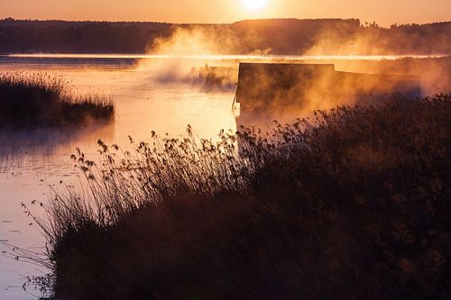 ambiance magnifique au Federsee - Bad Buchau