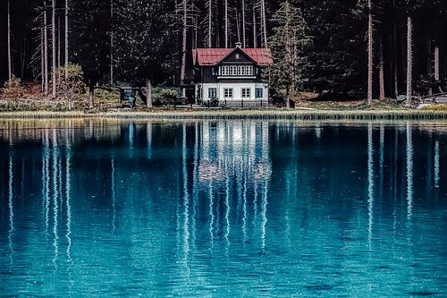 The Lake House