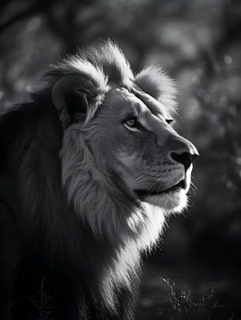 Lion in focus, black and white V4 by drdigitaldesign