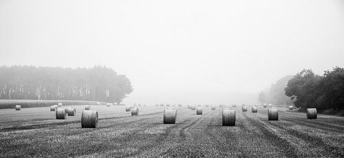 Straw Rolls in Early Morning Fog