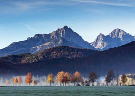 Herbst im Allgäu von Frank Herrmann