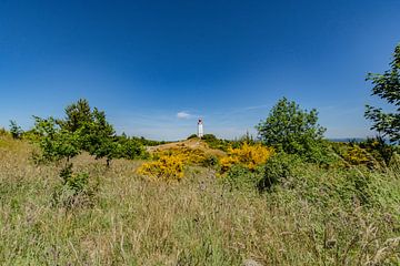 Leuchtturm Am Dornbusch, Insel Hiddensee