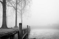 Mist 's ochtends bij het meer van Fabrizio Micciche thumbnail