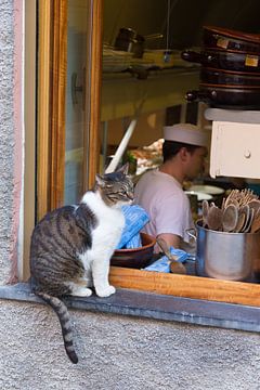 Kat op een vensterbank bij de keuken van een restaurant in Italië van Rob Kints