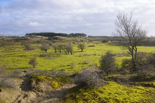 Zon overgoten duien.