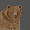 Bruine beer pentekening van Aurealis Creatief
