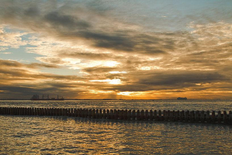 Sunset Flushing by Sabina Meerman