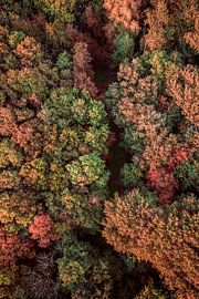 In the air by Arjen Hoftijzer