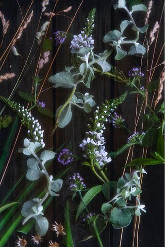 Still Life Floral