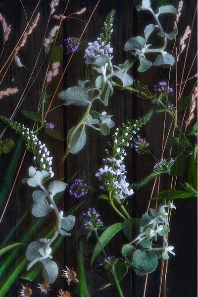 Stilleven Floral van Hannie Kassenaar