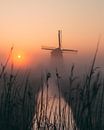 Mill in the fog by Larissa van Hooren thumbnail
