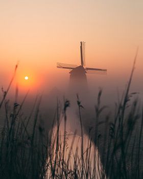 Molen in de mist