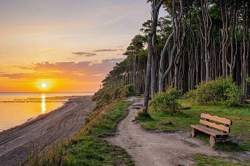 Nienhagen Forêt des fantômes
