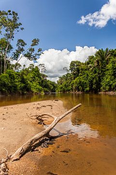Vue sur le fleuve Suriname, Suriname sur Marcel Bakker
