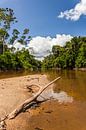 Zicht op de Suriname rivier, Suriname van Marcel Bakker thumbnail