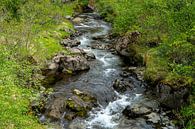 Kleine rivier met kleine stroomversnellingen omlijst door groene struiken van Hans-Heinrich Runge thumbnail