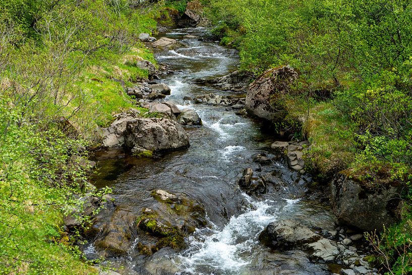 Kleine rivier met kleine stroomversnellingen omlijst door groene struiken van Hans-Heinrich Runge