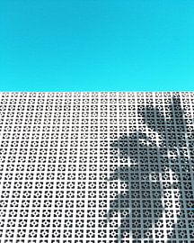 Parker Palm Shadow in Palm Springs von Tom Windeknecht