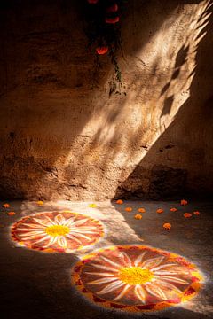Licht en bloemen van Poster Art Shop