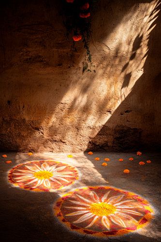Licht en bloemen