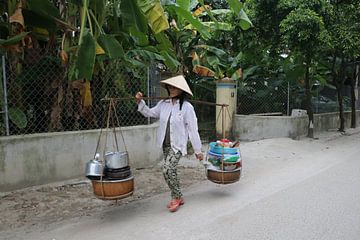 Walks Transport Vietnam by mathieu van wezel