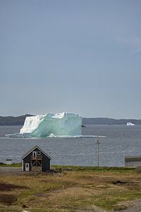 Iceberg au large de Twillingate (Terre-Neuve)