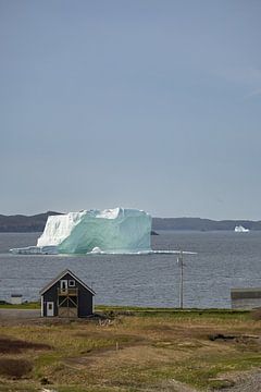 IJsberg voor de kust van Twillingate Newfoundland van Menno Schaefer