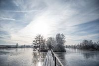 The wonder of Friesland: Low moors of the Deelen.