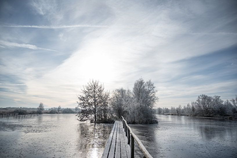The wonder of Friesland: Low moors of the Deelen. by Anna den Broeder