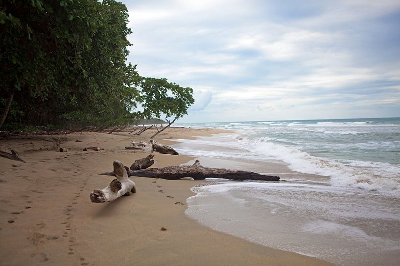 Wilde Karibikküste in Costa Rica von t.ART