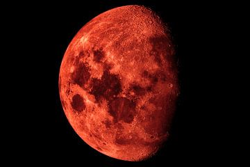 Lune rouge sang XXL sur Max Steinwald
