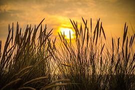 Sonnenuntergang am Strand