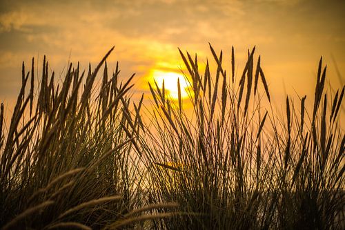 Coucher de soleil sur la plage