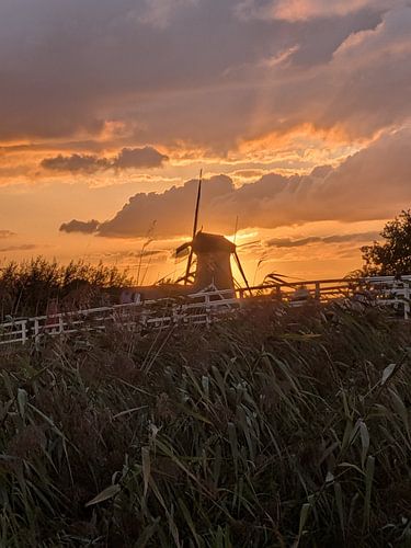 Coucher de soleil, Kinderdijk