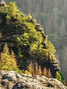 Großes Bärenhorn, Sächsische Schweiz - Felswand und Försters Loch