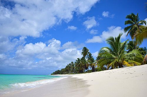 Île tropicale