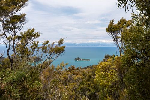 Fisherman Island vanaf de Inland Track Abel Tasman park NZ