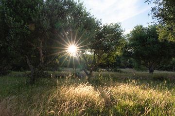 Samos part 34 by Tania Perneel