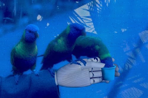 Les poèmes que vous avez lus