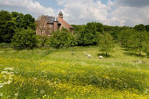 Kasteel Waardenburg