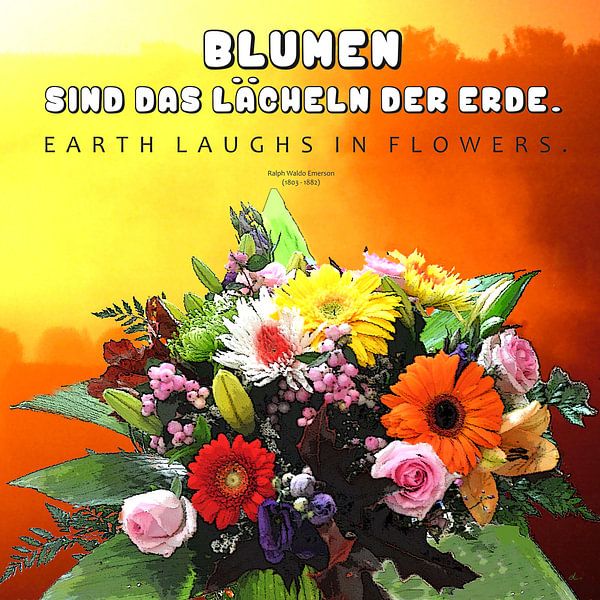 Blumen  |  Zitat von Dirk H. Wendt