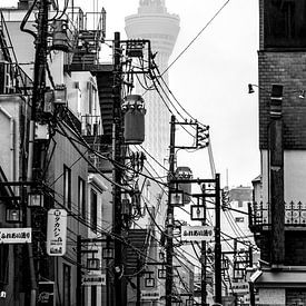Nebliger Tokio Skytree - Schwarz und Weiß Japan von Angelique van Esch